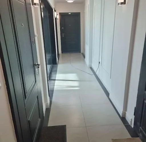 In Evargreen Complex With Terrace Apartment *